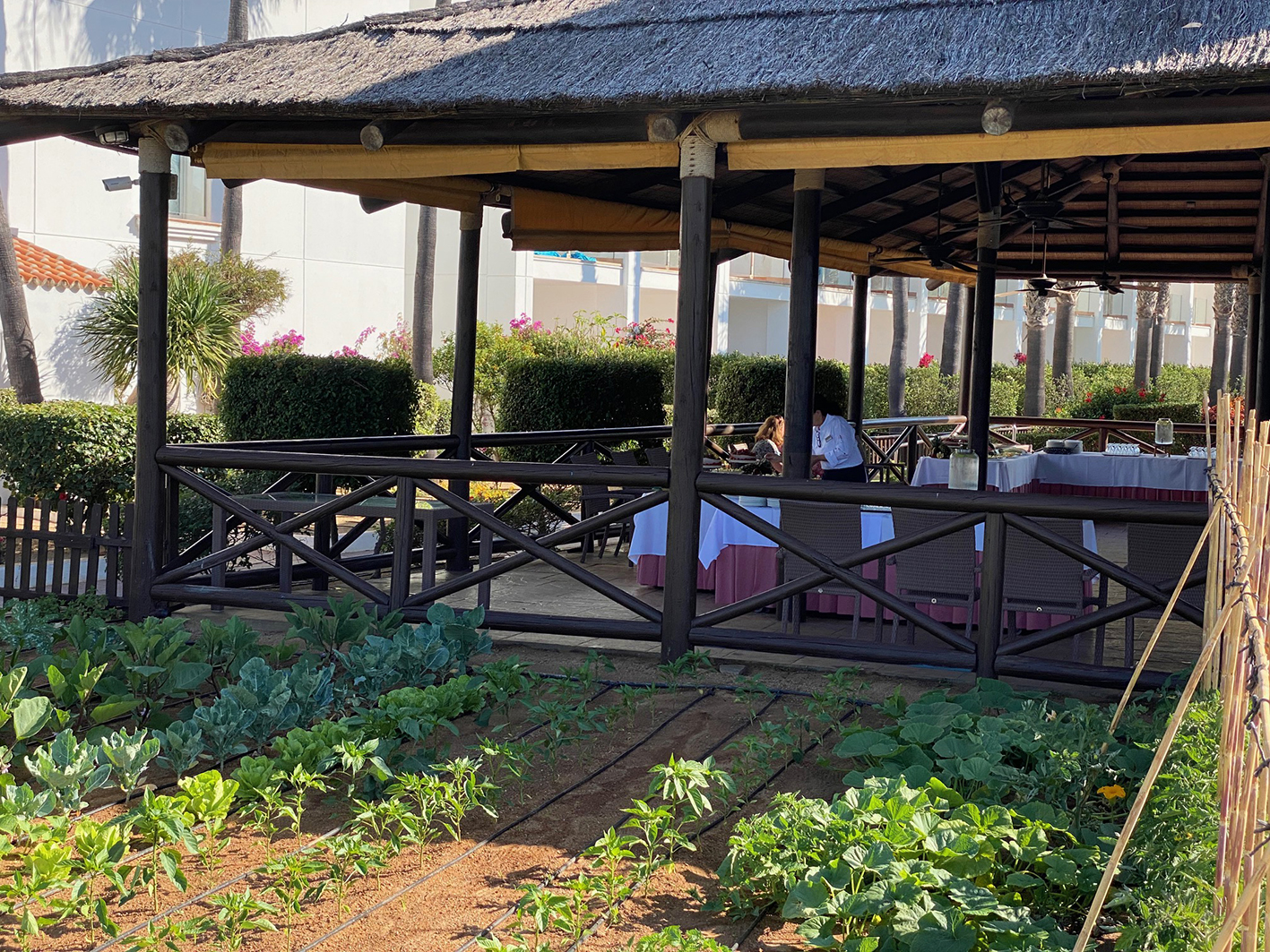 008_alta_playaballena Naos.jpg